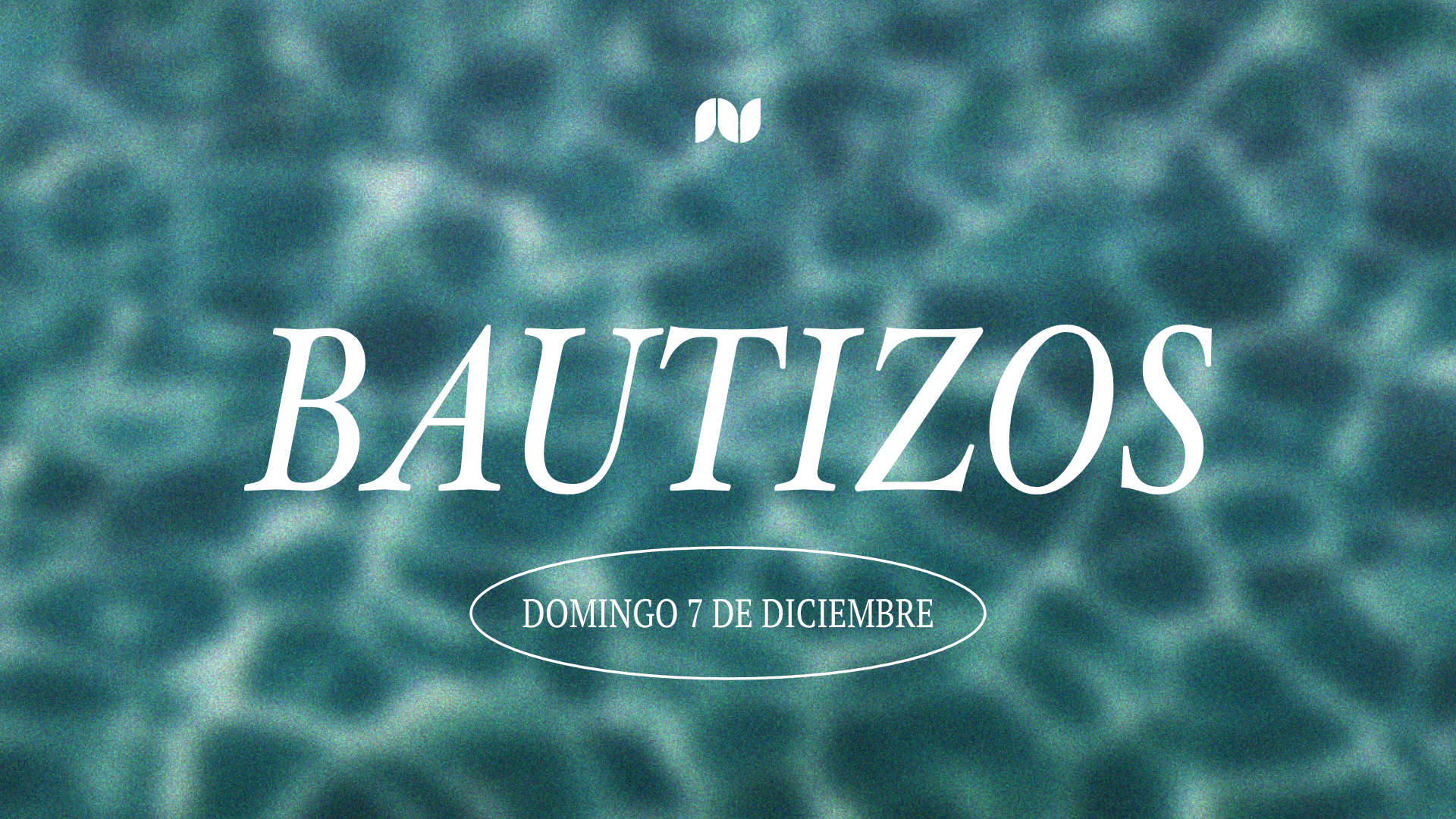 Pantalla bautizos dic